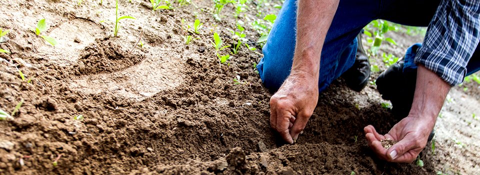 A Propos About Us 02