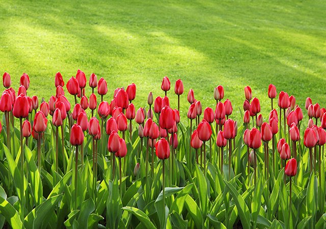 Réalisations Projects 08